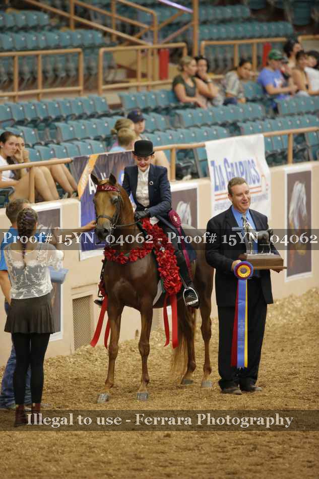 Proof 15YN_04062