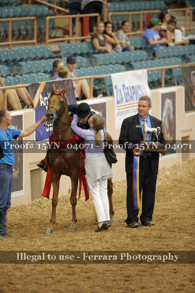 Proof 15YN_04071