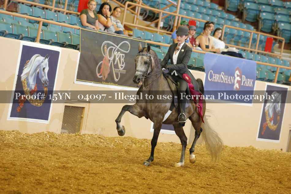 Proof 15YN_04097