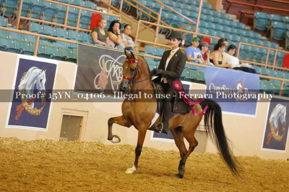 Proof 15YN_04106