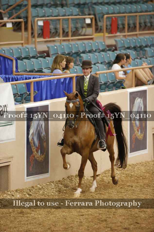 Proof 15YN_04110