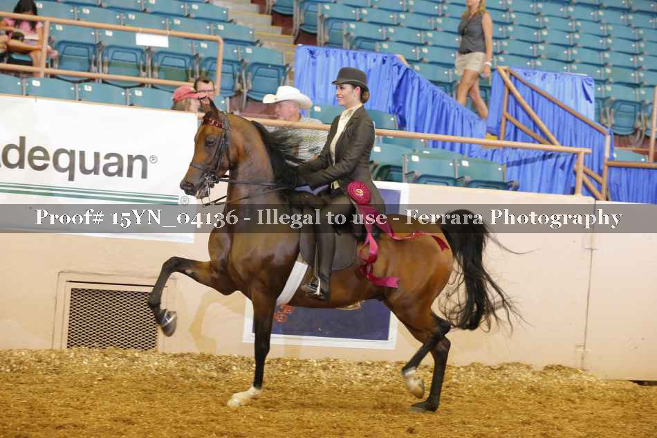 Proof 15YN_04136