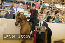15YN_15028 proof