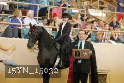 15YN_15032 proof