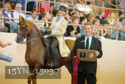 15YN_15037 proof