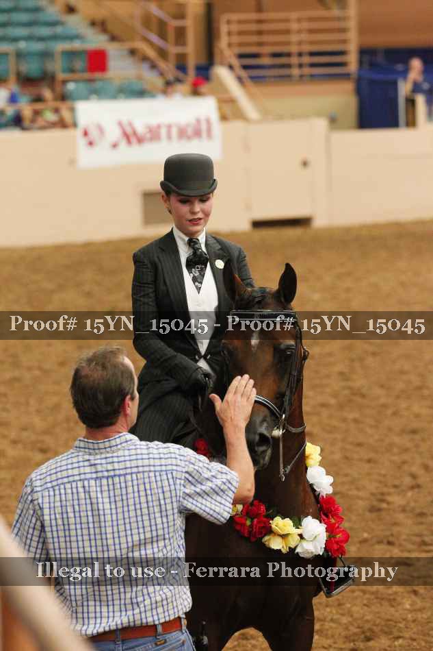 Proof 15YN_15045