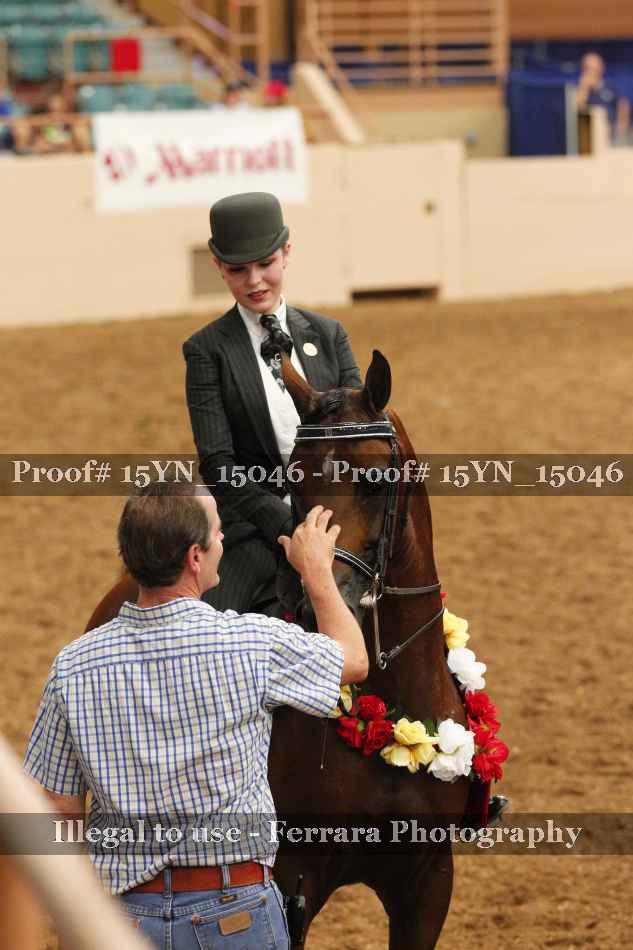 Proof 15YN_15046