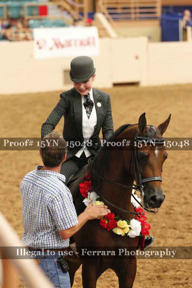 Proof 15YN_15048