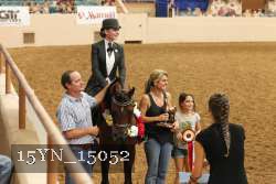 15YN_15052 proof