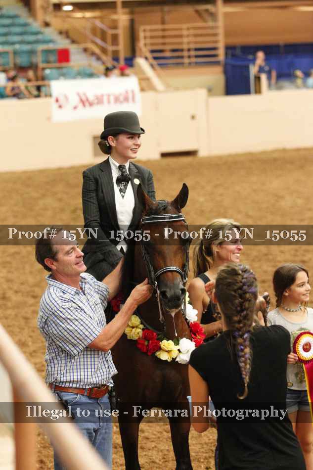 Proof 15YN_15055