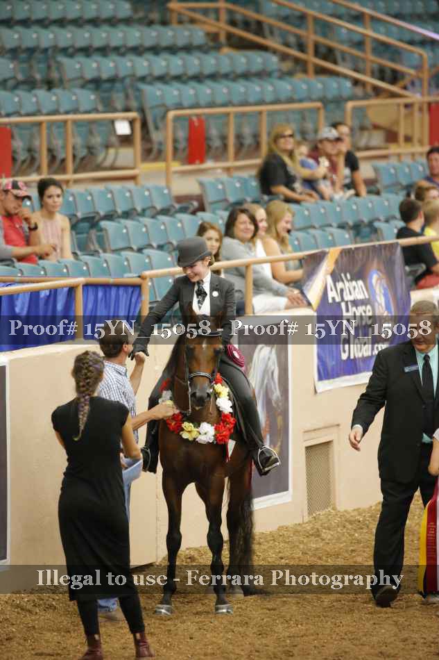 Proof 15YN_15058