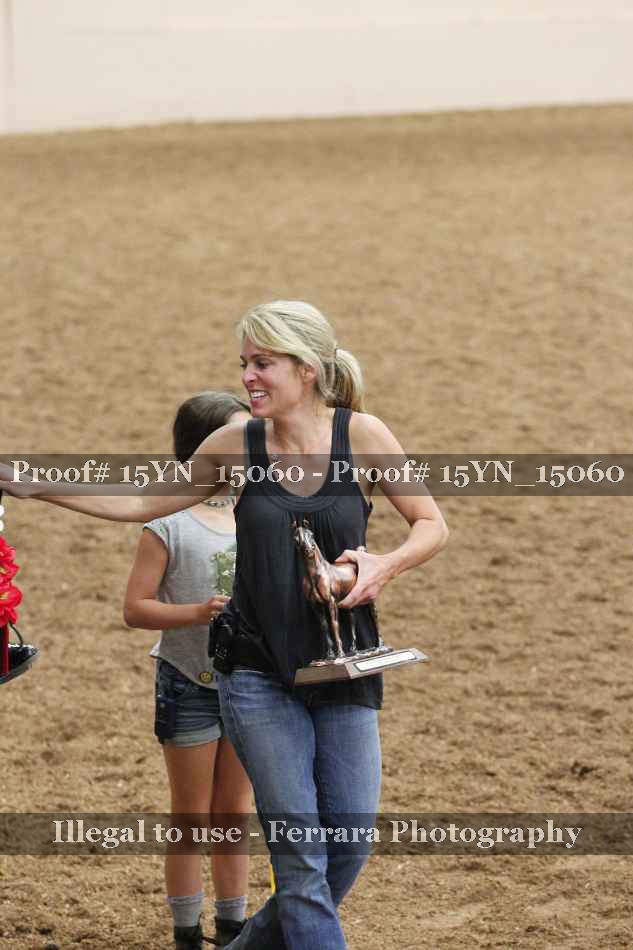Proof 15YN_15060
