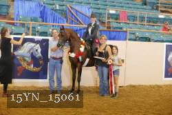 15YN_15061 proof