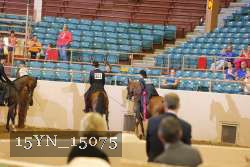 15YN_15075 proof