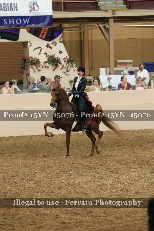 Proof 15YN_15076
