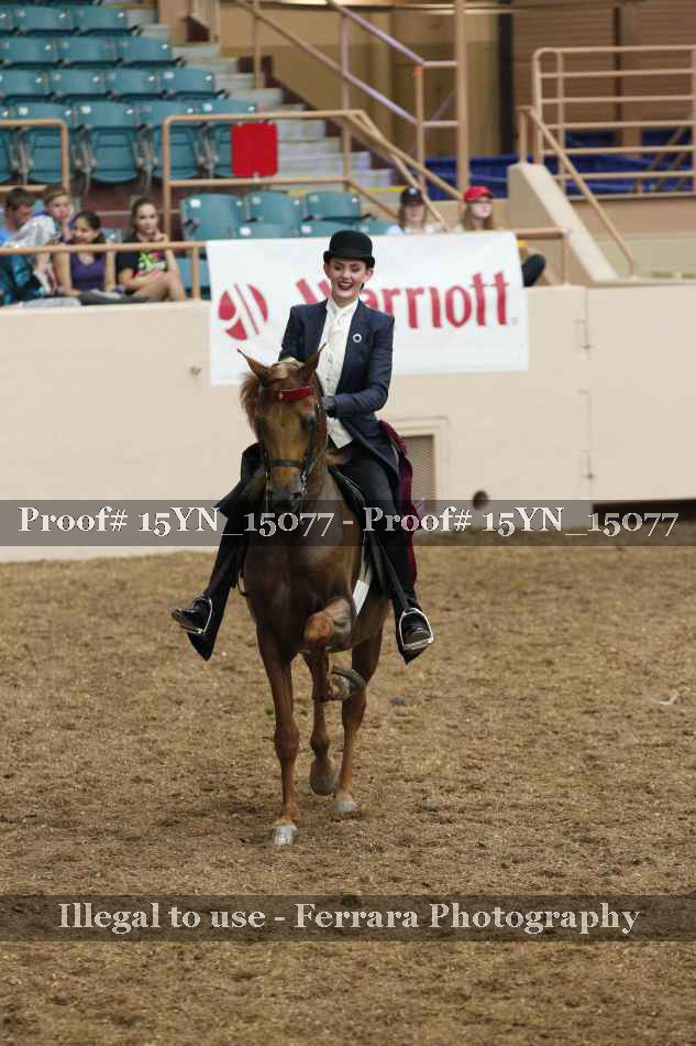 Proof 15YN_15077
