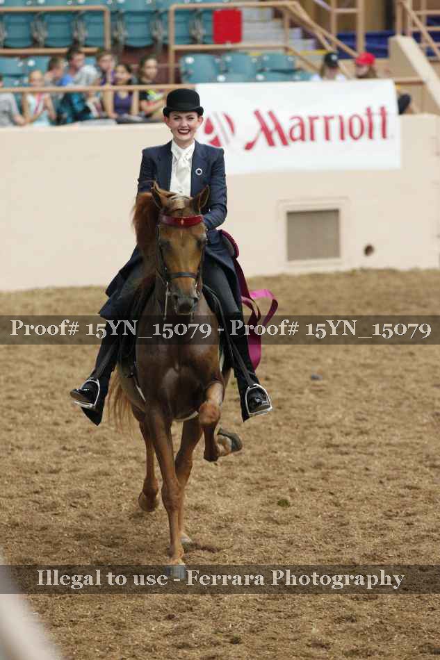 Proof 15YN_15079