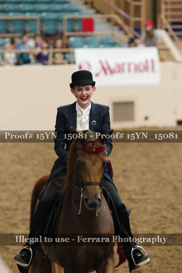 Proof 15YN_15081
