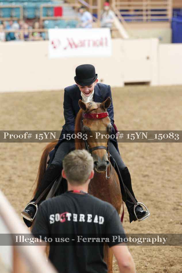 Proof 15YN_15083