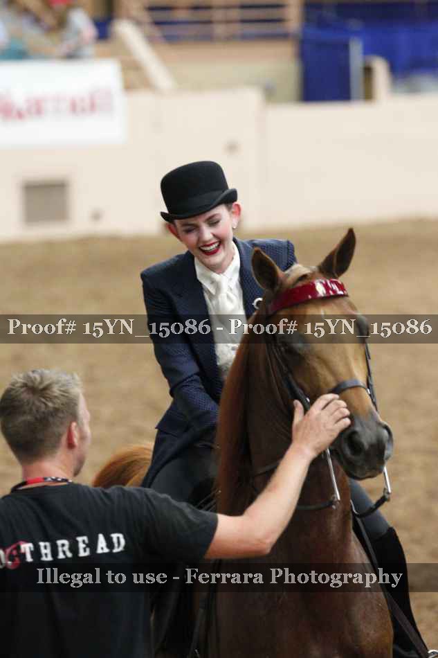 Proof 15YN_15086