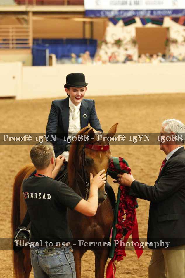 Proof 15YN_15088