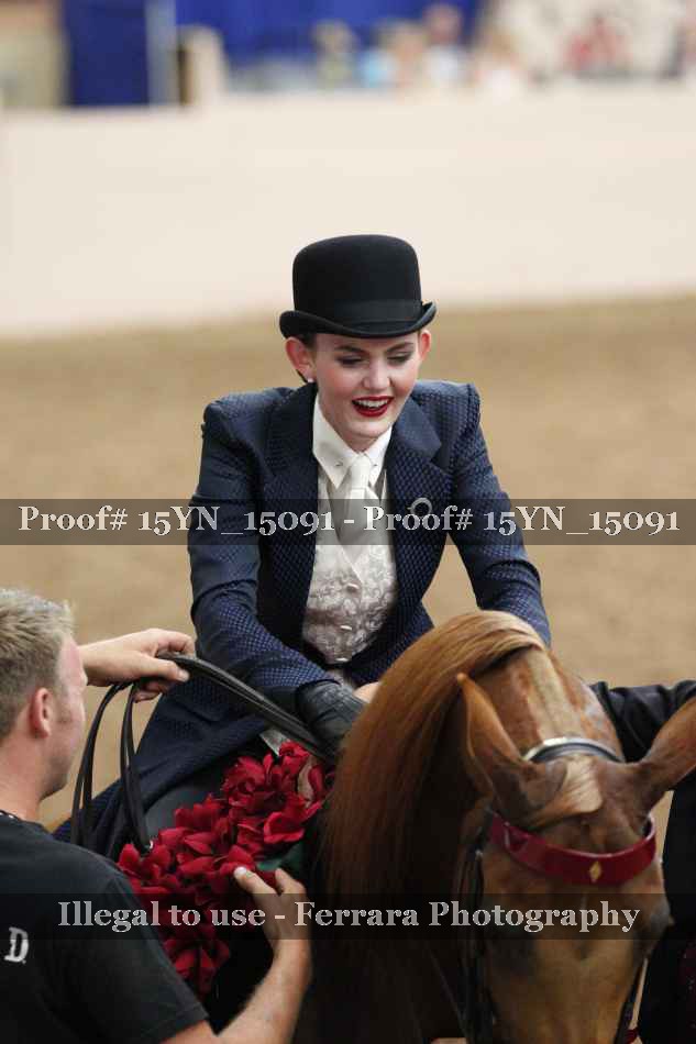 Proof 15YN_15091