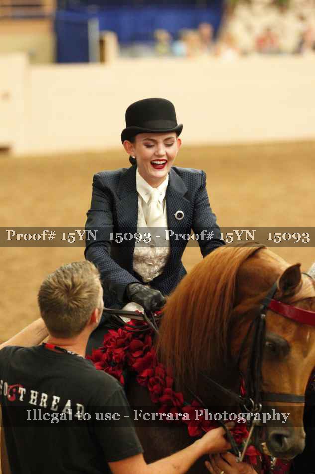 Proof 15YN_15093