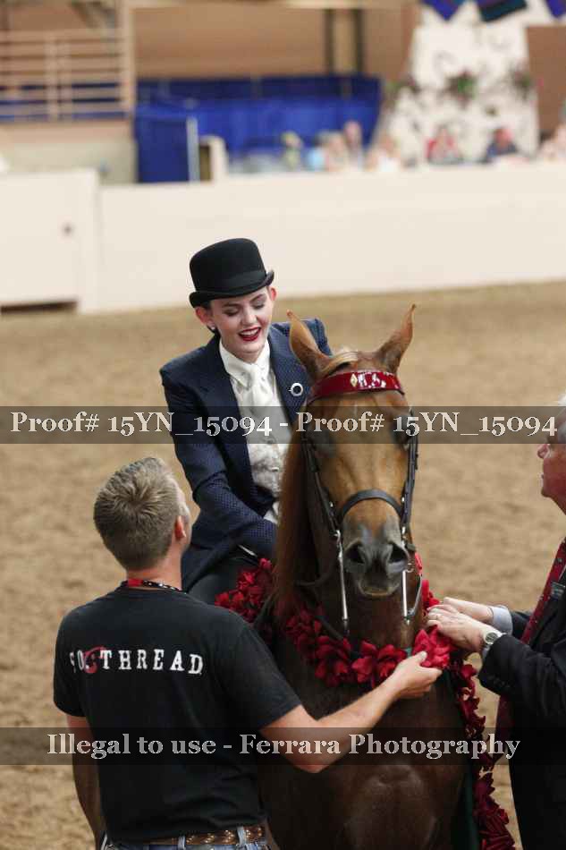 Proof 15YN_15094
