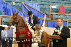 15YN_15104 proof