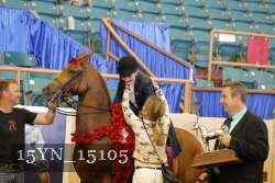 15YN_15105 proof