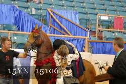 15YN_15106 proof