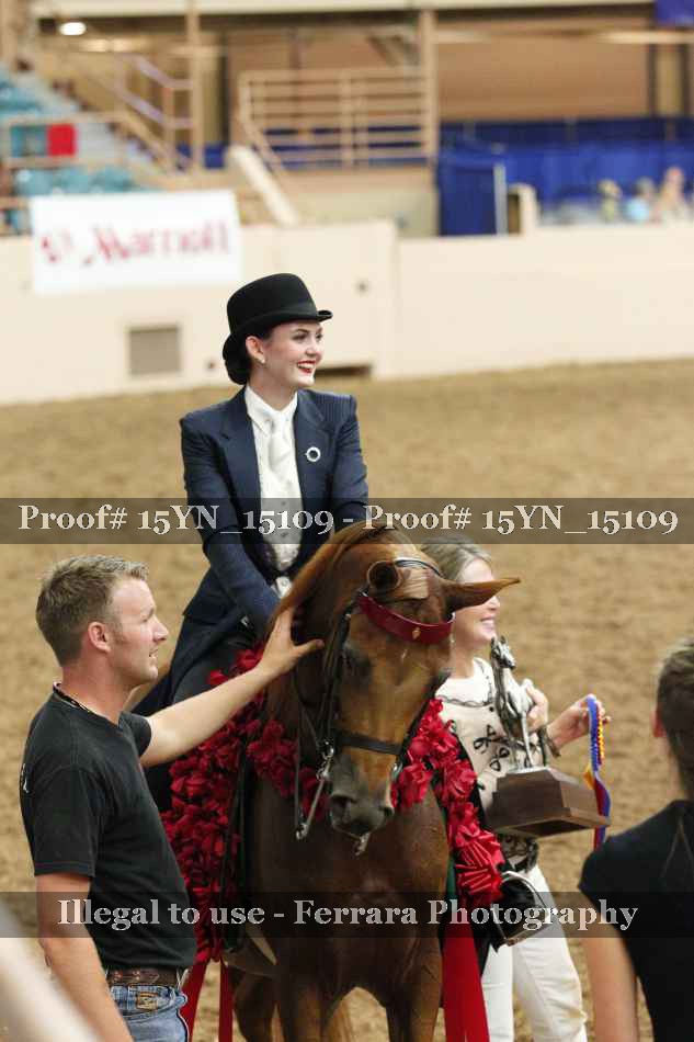 Proof 15YN_15109