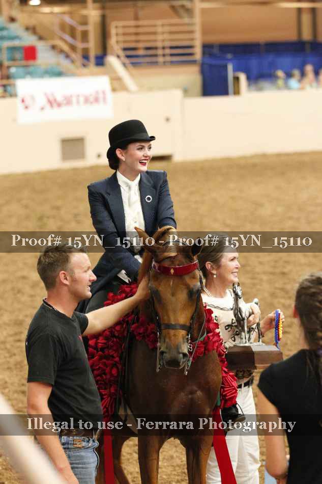 Proof 15YN_15110