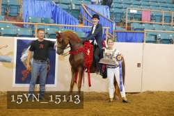 15YN_15113 proof