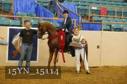 15YN_15114 proof