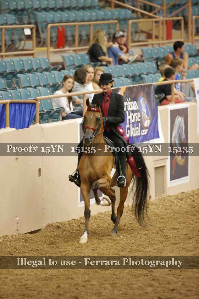 Proof 15YN_15135