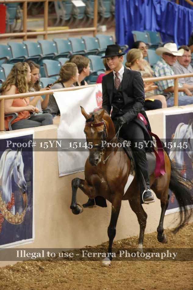 Proof 15YN_15145