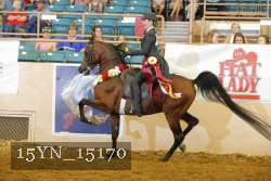15YN_15170 proof