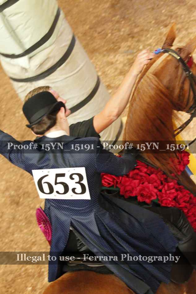 Proof 15YN_15191