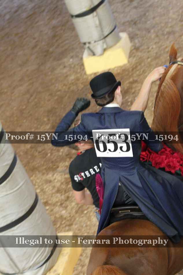 Proof 15YN_15194