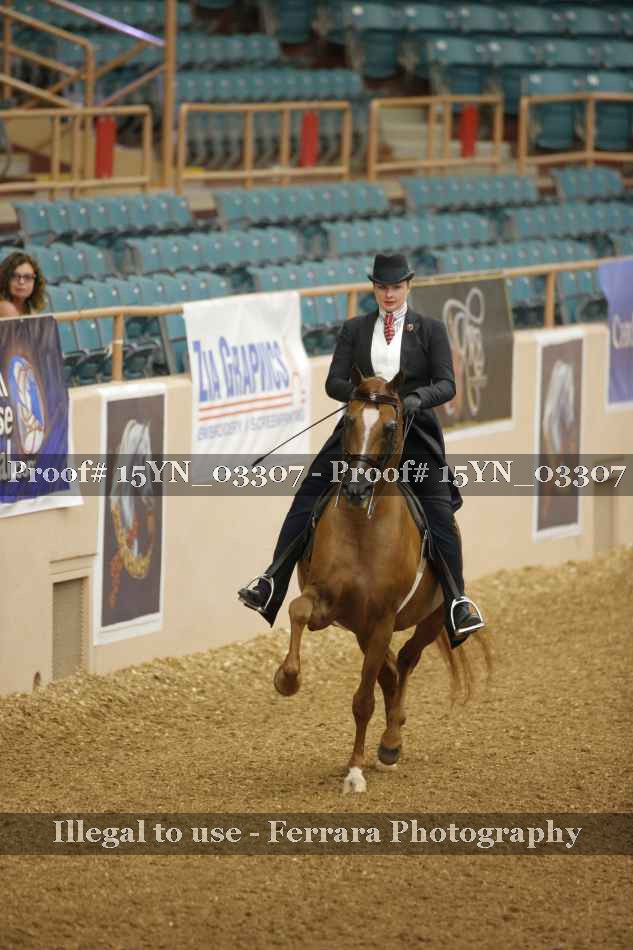Proof 15YN_03307
