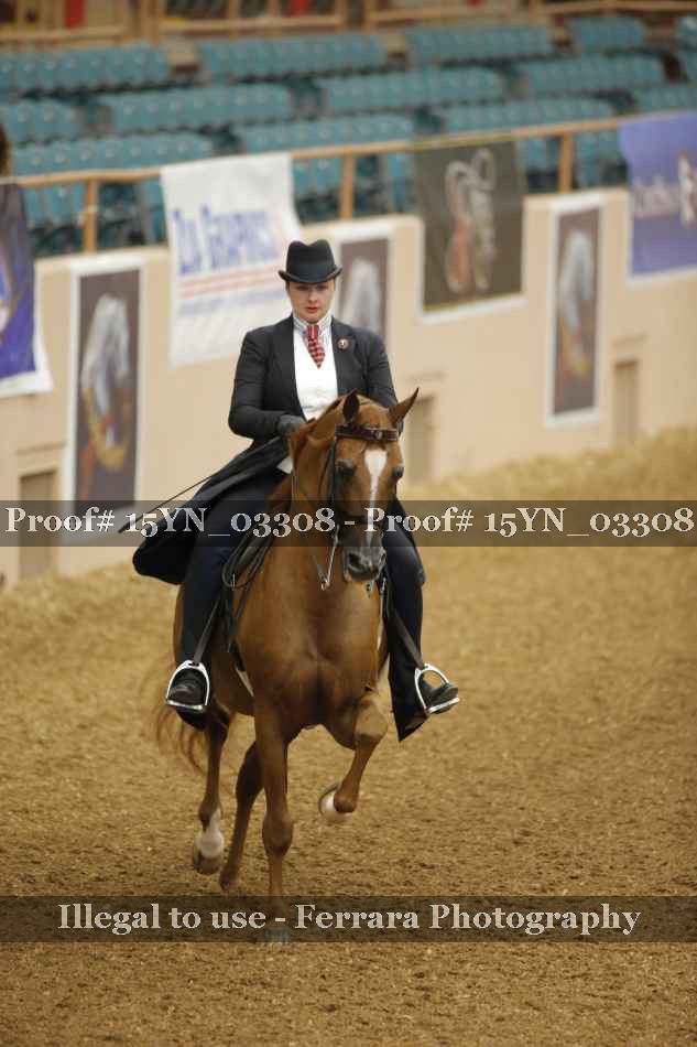 Proof 15YN_03308