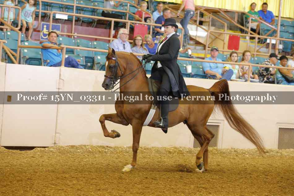 Proof 15YN_03311