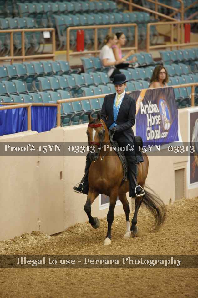 Proof 15YN_03313