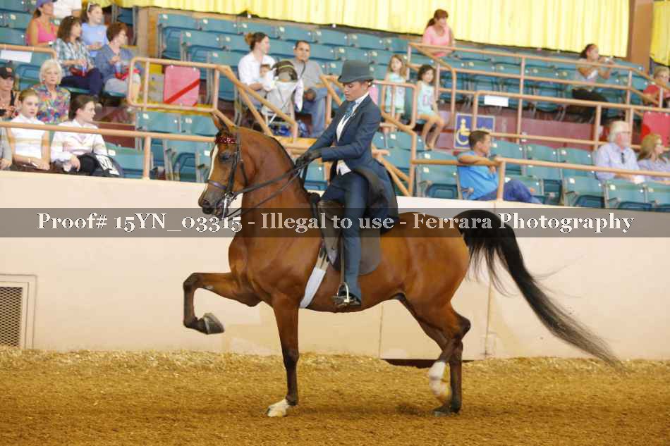 Proof 15YN_03315