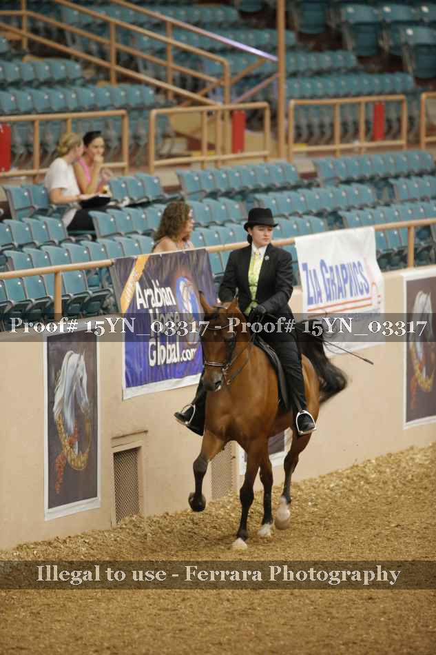 Proof 15YN_03317