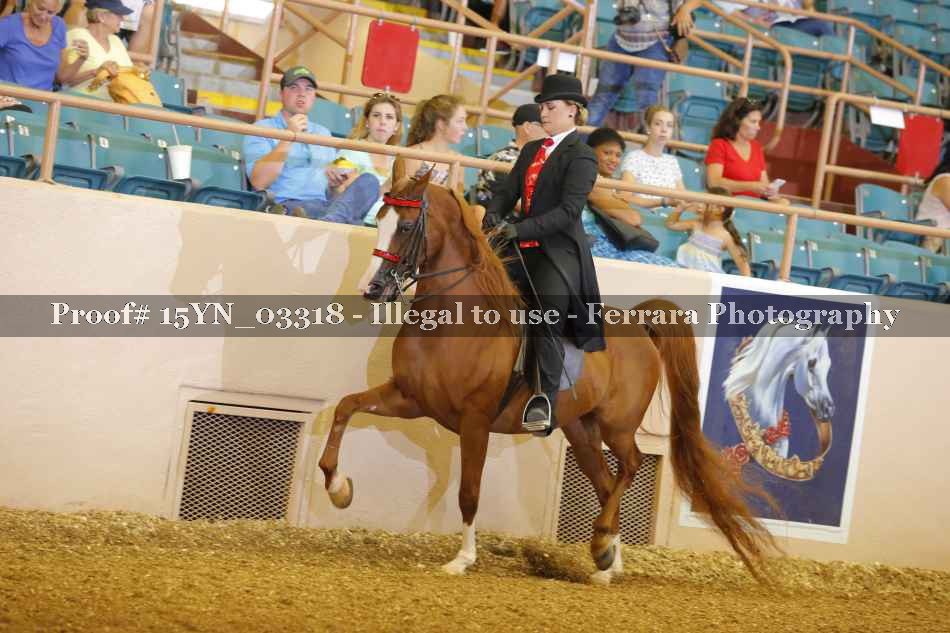 Proof 15YN_03318