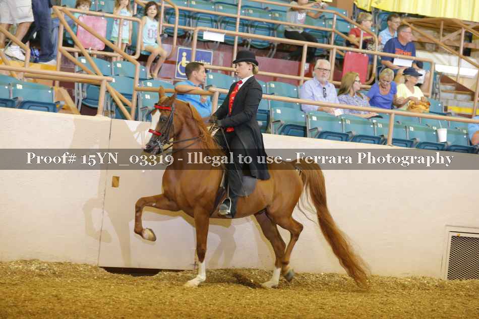 Proof 15YN_03319