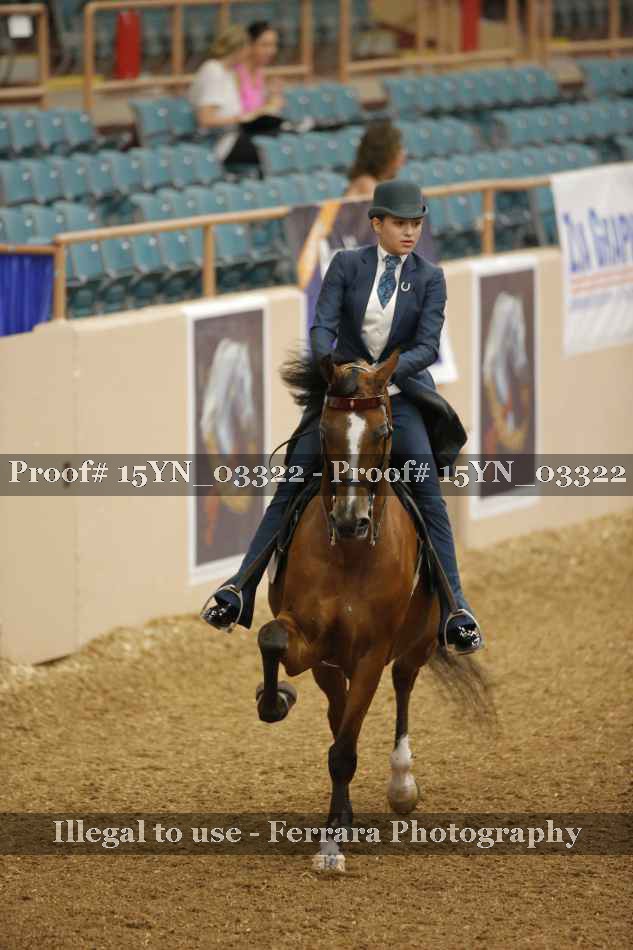 Proof 15YN_03322