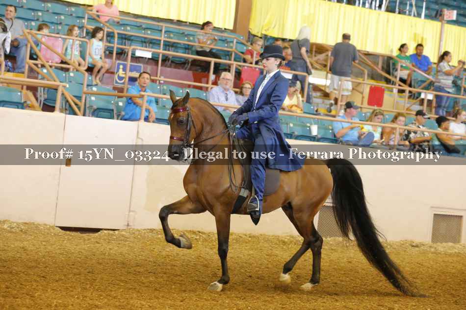 Proof 15YN_03324